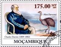(№2009-3440) Марка Мозамбик 2009 год "200-летию Чарльза Дарвина 18091882", Гашеная