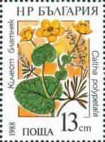 (1988-004) Марка Болгария "Календула болотная"   Водные растения III O