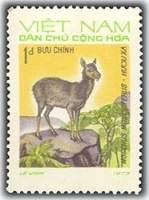 (1973-019) Марка Вьетнам "Кабарга"   Дикие животные III Θ