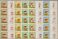 (1964-152-156) Серия Набор сцепок марок с купонами справа (5 шт) СССР     Грибы III O