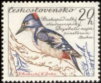 (1959-048) Марка Чехословакия "Дятел"    Птицы III Θ