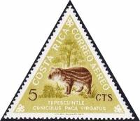 (№1963-612) Марка Коста-Рика 1963 год "Низменности, причем краниологические признаки ока зались Пака