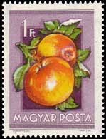 (1954-044) Марка Венгрия "Яблоки"    Сельскохозяйственная выставка II Θ
