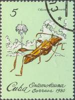 (1980-002) Марка Куба "Сверчок"    Насекомые III Θ