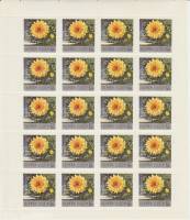 1969-035  Лист (20 м 4х5) СССР Георгин Листопад  Ботанический сад Академии наук Москва III O