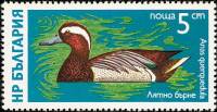 (1976-019) Марка Болгария "Чирок-трескунок"   Водоплавающие птицы III O