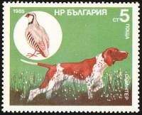 (1985-119) Марка Болгария "Пойнтер"   Охотничья собака II Θ