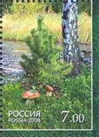 2008-068 Марка Россия Грибы  Флора и фауна. Лес и его обитатели III O