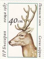 (1987-039) Марка Болгария "Пятнистый олень"   Олени III Θ