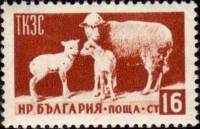 (1955-004) Марка Болгария "Овцы"   Сельское хозяйство и современное строительство II Θ