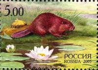 2005-034  Марка из блока Россия Факел  Природа III O