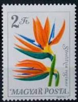 (1965-082) Марка Венгрия "Стрелитция королевская"    Цветы ботанического сада II Θ