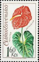 1973-033 Марка Чехословакия Антуриум   Выставка цветов II Θ