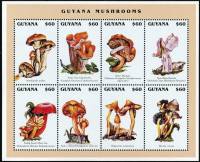 (№1996-5526) Лист марок Гайана 1996 год "Грибы", Гашеный