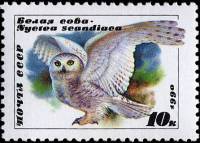 (1990-021) Марка СССР "Белая сова"   Совы III Θ