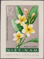 (1962-016) Марка Вьетнам "Плюмерия белая"   Цветы III Θ