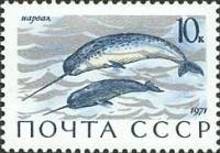 (1971-075) Марка СССР "Нарвал"    Млекопитающие - обитатели морей и океанов II O