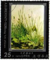 (1979-046) Марка Северная Корея "Трава"   Картины Альбрехта Дюрера III Θ