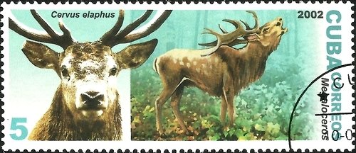 (№4487) Марка Куба 2002 год &quot;Красный олень, Сervus elaphus Плезиозавра&quot;, Негашеная