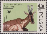 (1978-052) Марка Польша "Каама"    50 лет Зоопарку Варшавы III Θ