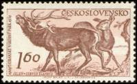 (1959-042) Марка Чехословакия "Олень"    10 лет Национальному парку, Татры II Θ