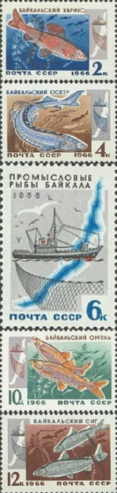 (1966) Набор марок СССР &quot;Промысловые рыбы Байкала&quot; 5 шт.