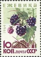 1964-172 Марка СССР Ежевика   Ягоды III O