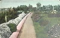1909-год  Почтовая карточка US Marguerite Hedge, California   ,  