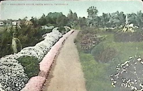 1909-год  Почтовая карточка US Marguerite Hedge, California   ,  
