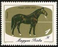 (1985-035) Марка Венгрия "Нониус-36, 1883"    Лошади II Θ