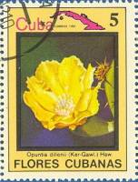 (1983-065) Марка Куба "Опунция диллена"    Цветы III Θ