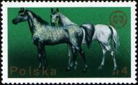 (1975-031) Марка Польша "Великопольская Лошадь"    20-й конгресс Европейской зоотехнической Федераци