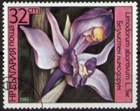 (1986-007) Марка Болгария "Лимодорум"   Орхидеи III Θ