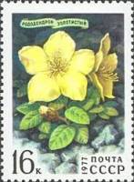 1977-029 Марка СССР Рододендрон золотистый  Цветы гор Сибири III O
