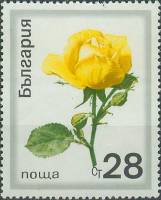 (1970-035) Марка Болгария "Жёлтая роза"   Розы III Θ