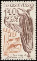 (1961-050) Марка Чехословакия "Кукуруза"    Сельскохозяйственная продукция II Θ
