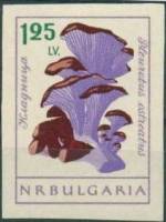 (1961-085) Марка Болгария "Вешенки"   Грибы (2) III O
