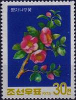 (1975-070) Марка Северная Корея "Камелия"   Цветение III Θ