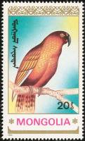 (1990-074) Марка Монголия "Кеа"    Попугаи III Θ