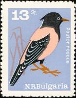 (1965-027) Марка Болгария "Скворец розовый"   Певчие птицы II Θ