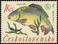 (1966-021) Марка Чехословакия "Карп "    Чемпионат мира по рыбалке II Θ
