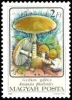 (1986-069) Марка Венгрия "Бледная поганка"    Ядовитые грибы I Θ