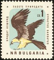 (1961-027) Марка Болгария "Орёл-бородач"   Охрана природы. Птицы III Θ