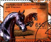 (№2011-3073) Марка Центрально-Африканская Республика 2011 год "Барб и equus издавна тада этих животн