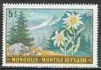 (1969-020) Марка Монголия "Эдельвейс"    Растительный мир Монголии III O