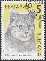(1989-116) Марка Болгария "Европейская кошка (1)"   Кошки III Θ