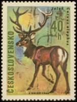 (1966-074) Марка Чехословакия "Олень"    Животные III Θ