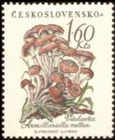 (1958-048) Марка Чехословакия "Опята "    Грибы II Θ