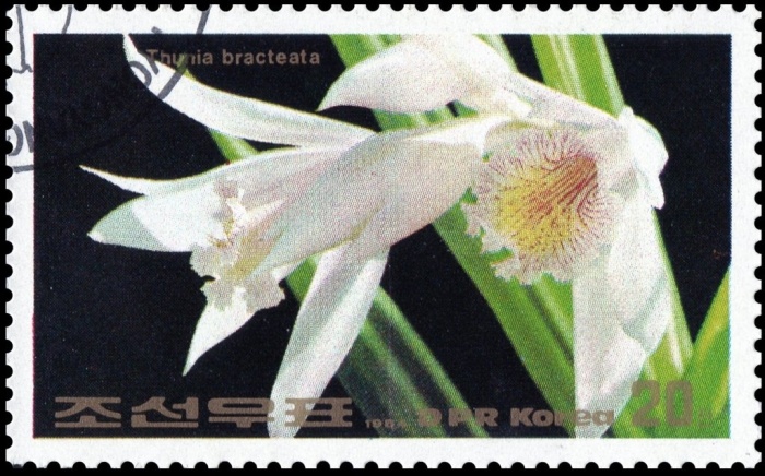 (1984-042) Марка Северная Корея "Туния брактеата"   Цветы III &Theta;