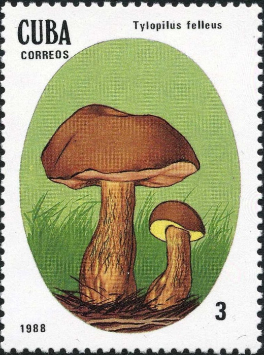 (1988-010) Марка Куба &quot;Жёлчный гриб&quot;    Ядовитые грибы III Θ